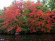 squam08_17.jpg