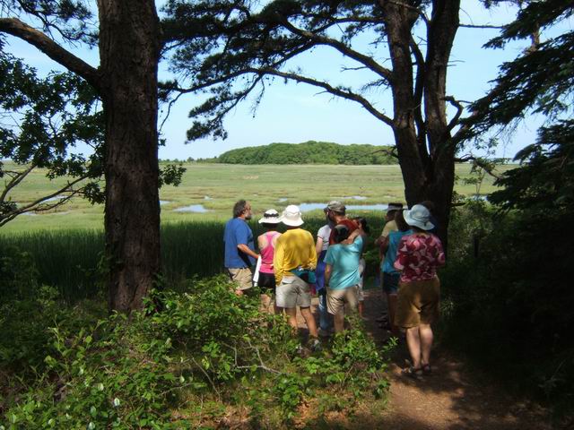 sat_nature_09.JPG