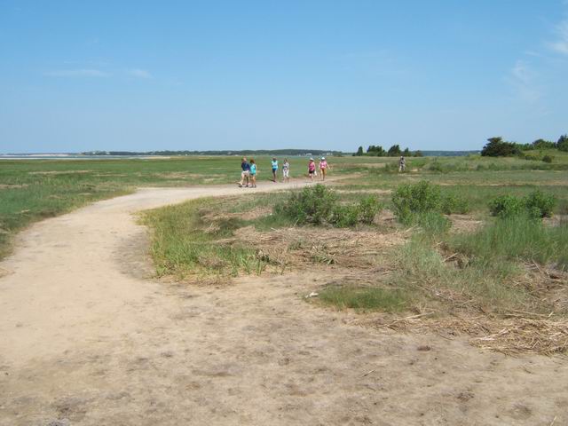 sat_nature_15.JPG