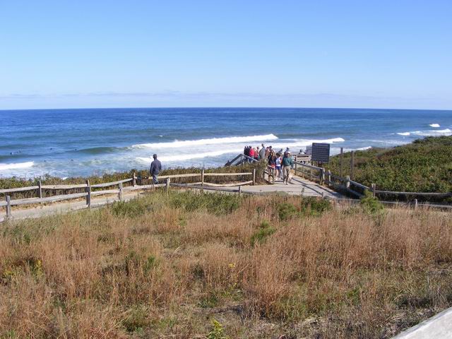 DSCF0652.JPG