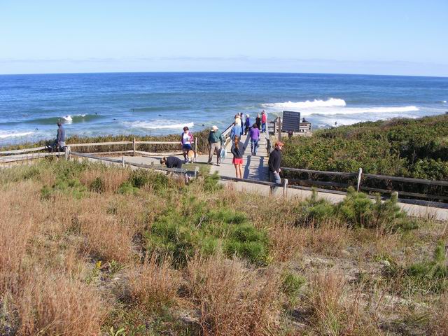 DSCF0655.JPG