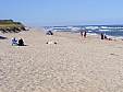 DSCF0646.JPG