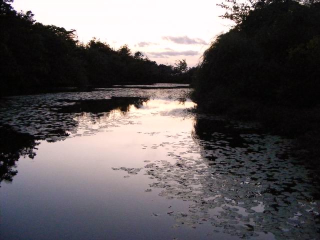 DSCF0663.JPG