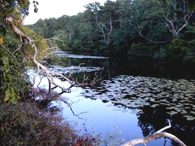 DSCF0664.JPG
