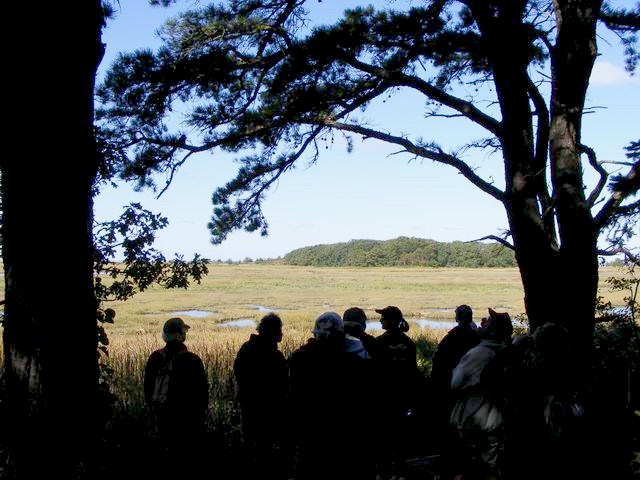 DSCF0600.JPG