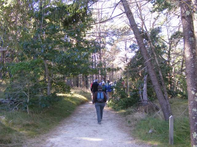 DSCF0604.JPG