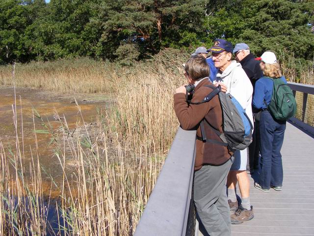 DSCF0605.JPG