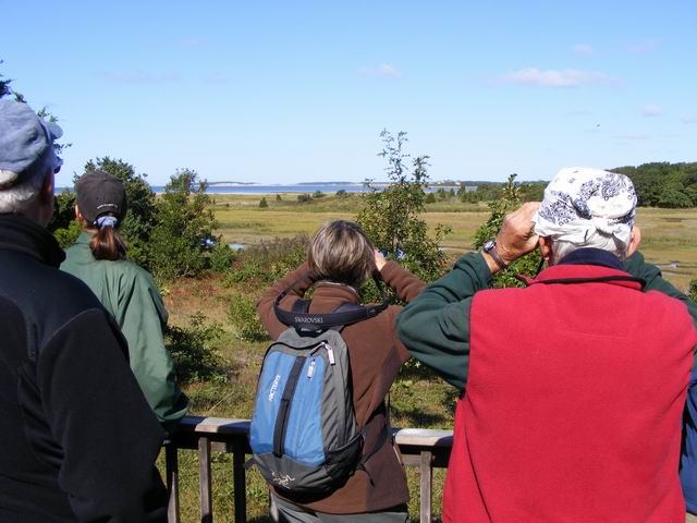 DSCF0613.JPG
