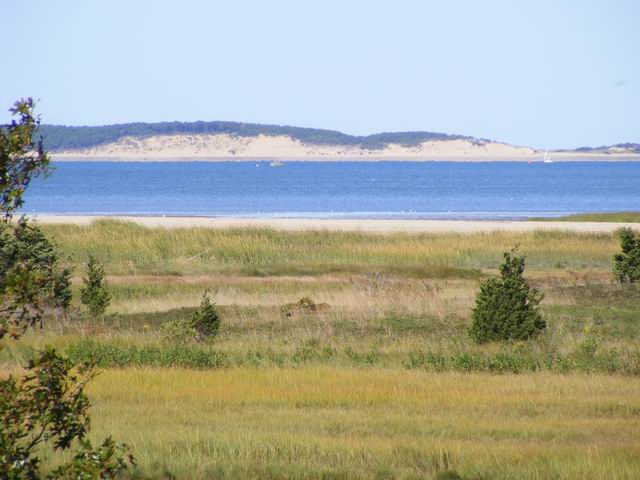 DSCF0614.JPG