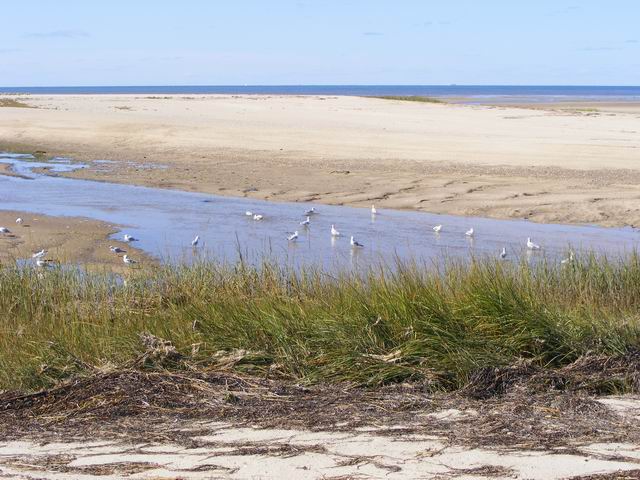 DSCF0631.JPG