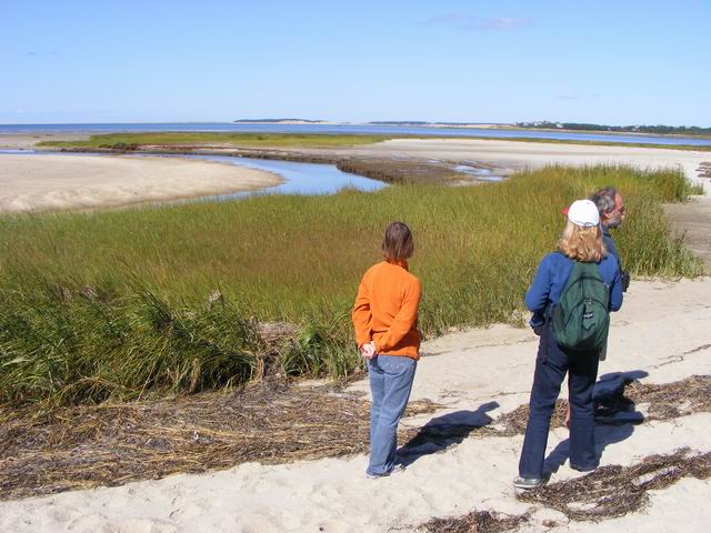 DSCF0635.JPG