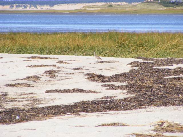 DSCF0637.JPG