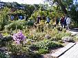 DSCF0598.JPG