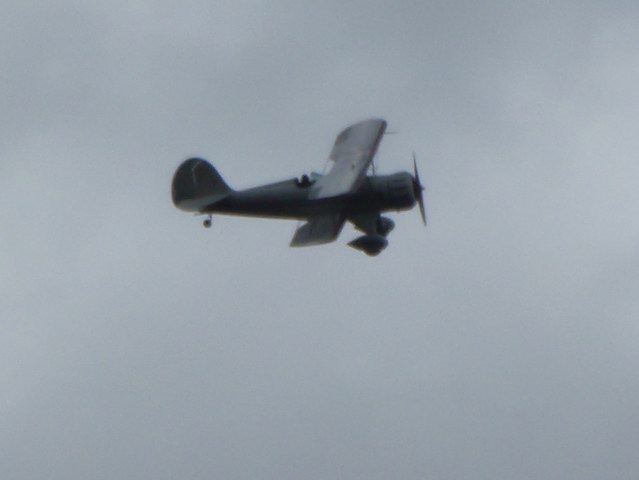 P9050417.jpg