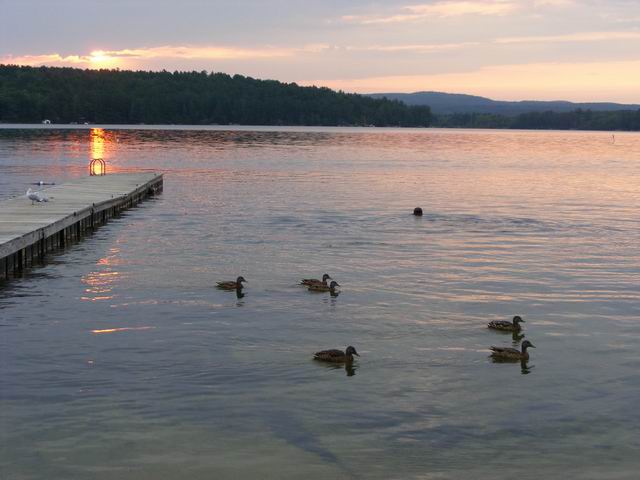 DSCF3557.JPG