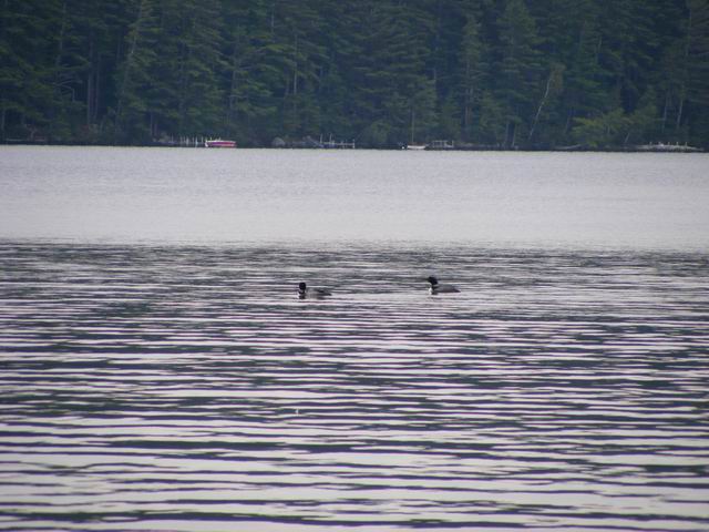 DSCF3564.JPG