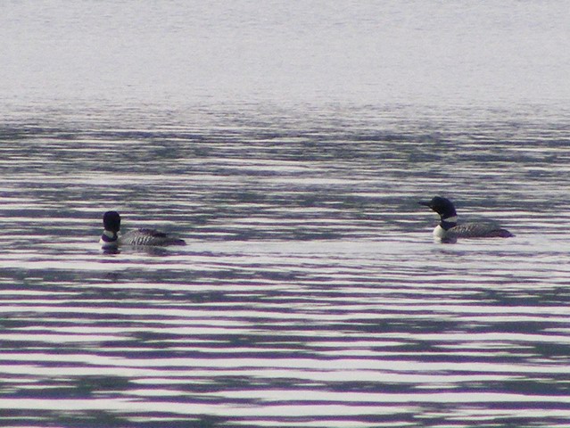 DSCF3564b.jpg
