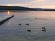 DSCF3557.JPG