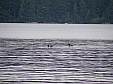 DSCF3564.JPG