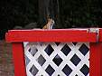 04-DSCF4246.jpg