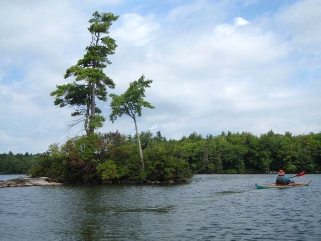 P9010443.JPG