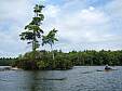 P9010443.JPG