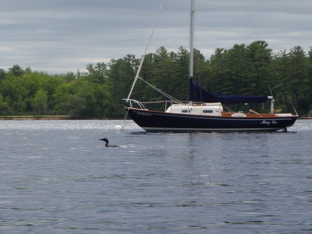 P9020497.jpg