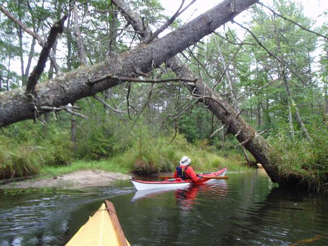 P9020525.JPG
