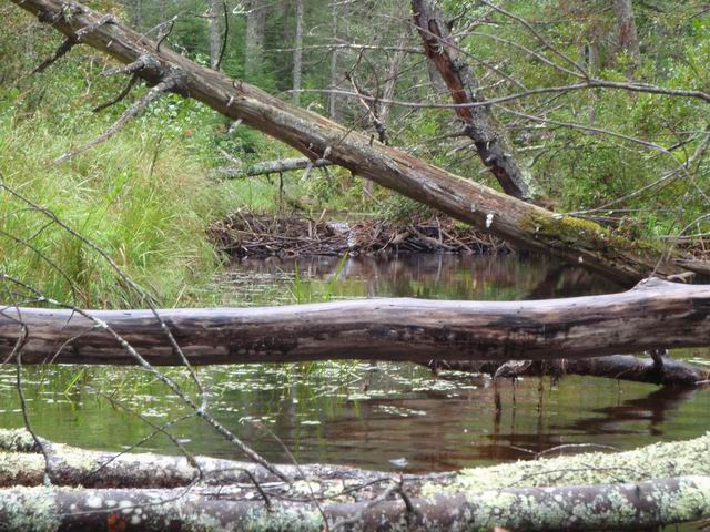 P9020531.JPG