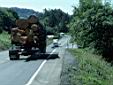 032_Road_hazard.jpg