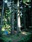 037_Camp_in_Honeyman_SP.jpg