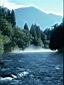 038_Morning_river_mist.jpg