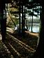 135_Androscoggon_River_camp.jpg