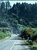 026 Coastal tunnel.jpg 026 Coastal tunnel.jpg