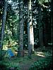037 Camp in Honeyman SP.jpg 037 Camp in Honeyman SP.jpg