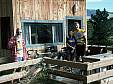 088 Owner and Swiss couple.jpg 088 Owner and Swiss couple.jpg