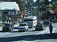 123 Follage traffic.jpg 123 Follage traffic.jpg