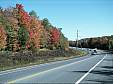125 Road follage.jpg 125 Road follage.jpg