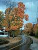 133 New Hampshire follage.jpg 133 New Hampshire follage.jpg