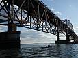 P9150119.JPG P9150119.JPG