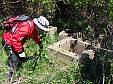 P5240056.JPG P5240056.JPG