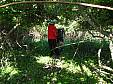 P5240100.JPG P5240100.JPG