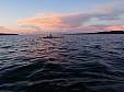 07-P8160174.JPG 07-P8160174.JPG