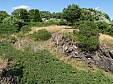 12-P8170206.JPG 12-P8170206.JPG