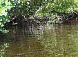 canal_21.JPG