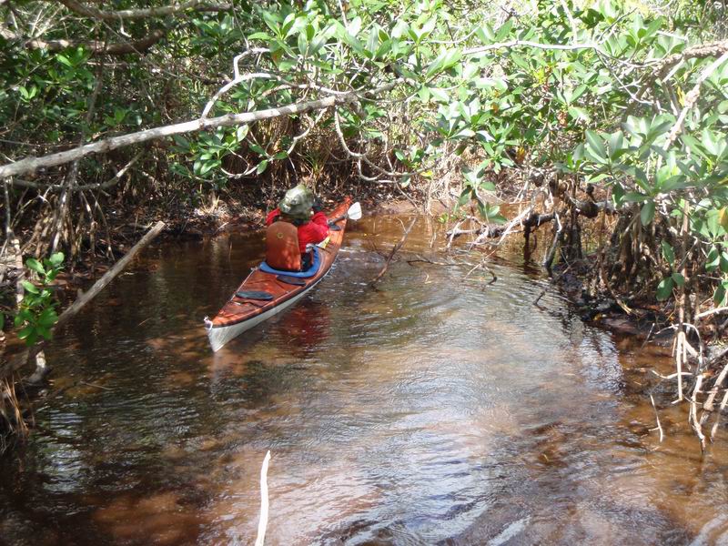 hells_creek10.JPG