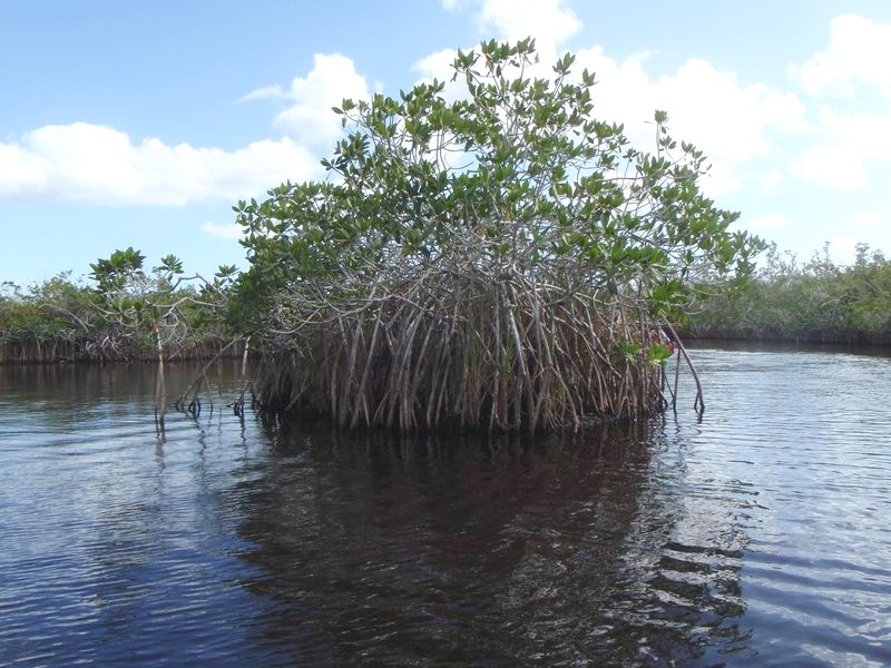hells_creek33.JPG