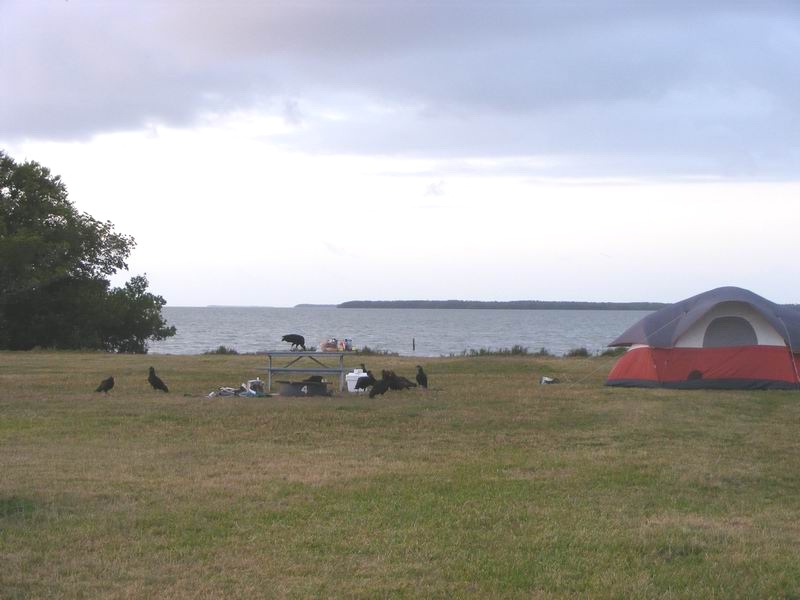DSCF2634.JPG