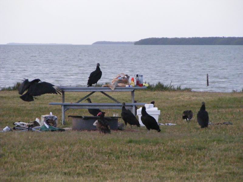 DSCF2635.JPG