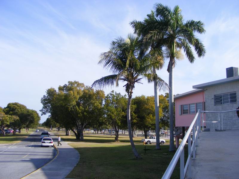 cape_sable05.JPG